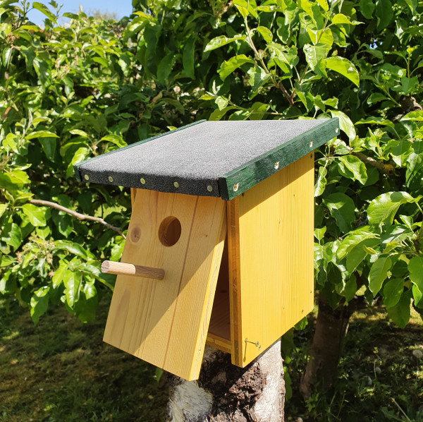 Meisennistkasten Natur Braun