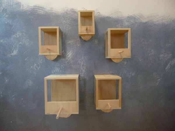 Volierennest mit Peddigrohrnest